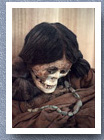 Mummy from San Pedro de Atacama