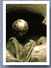 Mummy in clay pot, San Pedro de Atacama