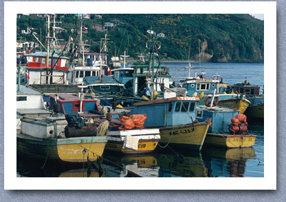 Fishing boats, Ancud harbour